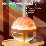 Humidificateur De Fleurs Portable Stationnaire - Rechargeable - Veilleuse et Arrêt Automatique – Image 5