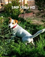 Caméra De Surveillance - Écran Touristique Intérieur - Détection de Mouvement - Audio et Vidéo – Image 7