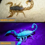 Lampe Torche UV Violette - 395 Nm - Alimentée Par USB - Rotative - 4 Modes D'éclairage LED - Avec Batterie Intégrée – Image 8