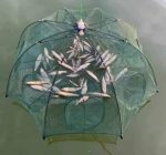 Filet De Pêche Pliable – Parfait Pour Attraper Facilement Du Poisson du Crabe et Des Crevettes – Avec Ligne Fine – 8 Poches – Image 3