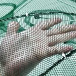 Filet De Pêche Pliable – Parfait Pour Attraper Facilement Du Poisson du Crabe et Des Crevettes – Avec Ligne Fine – 8 Poches – Image 7