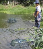 Filet De Pêche Pliable – Parfait Pour Attraper Facilement Du Poisson du Crabe et Des Crevettes – Avec Ligne Fine – 8 Poches – Image 11