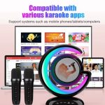 Haut-Parleur - 2 Microphones Sans Fil - Bluetooth - Lecteur De Musique karaoké