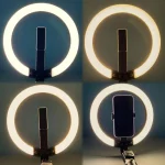 Ring Light Professionnel P220-Q - Rotation 360 Degrés - Trépied Ajustable - 2.3M - Bluetooth – Image 4