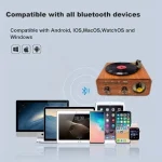 Haut-Parleur & Radio Tourne-Disque Vintage Bluetooth Sans Fil – Design Rétro Élégant & Son Stéréo – Image 9