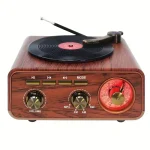 Haut-Parleur & Radio Tourne-Disque Vintage Bluetooth Sans Fil – Design Rétro Élégant & Son Stéréo