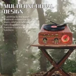 Haut-Parleur & Radio Tourne-Disque Vintage Bluetooth Sans Fil – Design Rétro Élégant & Son Stéréo – Image 6