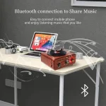 Haut-Parleur & Radio Tourne-Disque Vintage Bluetooth Sans Fil – Design Rétro Élégant & Son Stéréo – Image 4