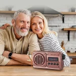 Radio FM Solaire Rétro – Bluetooth, TWS, USB, Carte SD & Power Bank – Image 6