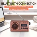 Radio FM Solaire Rétro – Bluetooth, TWS, USB, Carte SD & Power Bank – Image 7