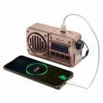 Radio FM Solaire Rétro – Bluetooth, TWS, USB, Carte SD & Power Bank – Image 3
