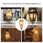 Pack Décoration Vintage 3 Suspensions Corde En Chanvre E27 + 3 Ampoules LED Filament + 1 Guirlande Boule LED Étanche 10M + Cadeau [Guirlande Lumineuse 10M]. – Image 10