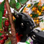 Ciseaux De Taille Et De Greffage Facile Master -Cut - Outil De Greffage à Découpe En Fente – Image 6