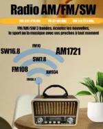 Radio Portable - Mini Style Vintage - Bandes AM/SW/FM - Fonctions TWS/USB/Carte TF/BT5.0 - Rechargeable – Image 8