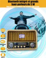 Radio Portable - Mini Style Vintage - Bandes AM/SW/FM - Fonctions TWS/USB/Carte TF/BT5.0 - Rechargeable – Image 10