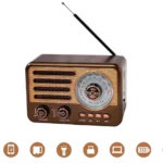 Baffle Radio Bluetooth Sans Fil Avec Boussole - Haut De Gamme - Réception Radio FM/AM/SW - Rechargeable - Lecteur MP3