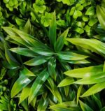 Lot de 5 Gazons Artificiel - Aspect Naturel et Réaliste - Clôture D'intimité Pour Protéger L'intimité De La Maison - Du Balcon et Du Jardin - 50 cm x 50 cm – Image 3