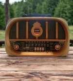 Radio Avec Baffle De Taille Moyenne -  Design Classique En Bois - Rechargeable - Bandes FM/AM - Modèle BUFFER® NS6687 – Image 7