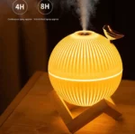 Lampe Lune Avec Humidificateur D'Air Oiseau  - Diffuseur de Parfum - Brumisateur USB
