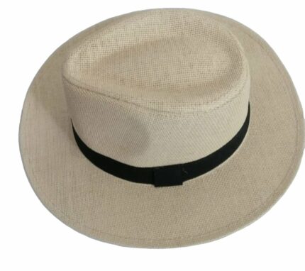 Chapeau De Soleil Unisexe - Large Bord - Élégant et Pratique - Beige Clair Naturel