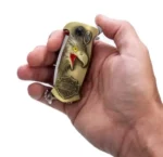 Couteau Briquet En Métal (NS) Avec Décapsuleur - Multifonction - Rechargeable – Image 5