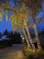 Guirlande Lumineuse LED Pour Extérieur – Fil De Caoutchouc Blanc – 10 M – 100 LED – Résistante À L’eau – Image 5